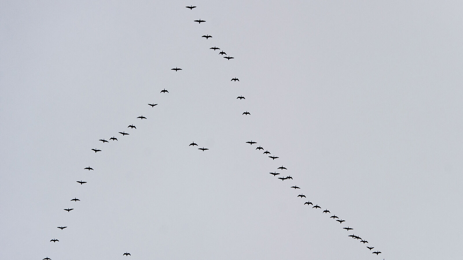 Why passenger jets could soon be flying in formation